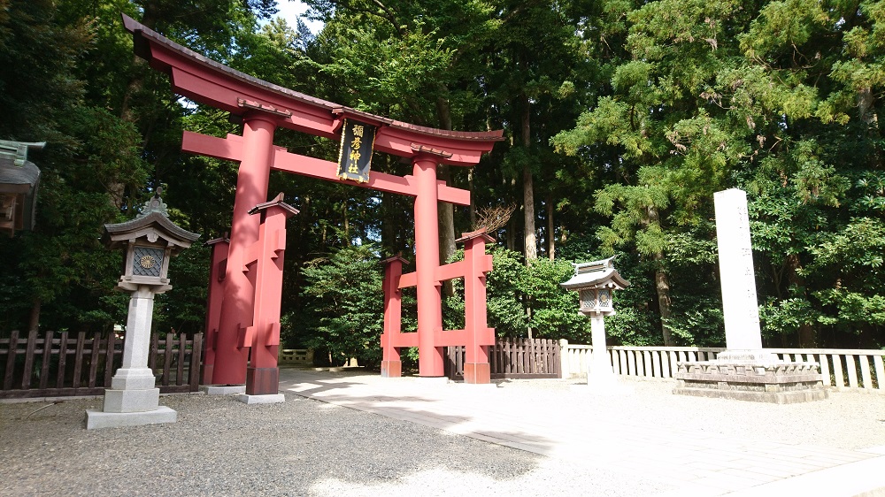 「夏のフォトジェニック観光スポット」で弥彦神社が1位になりました！